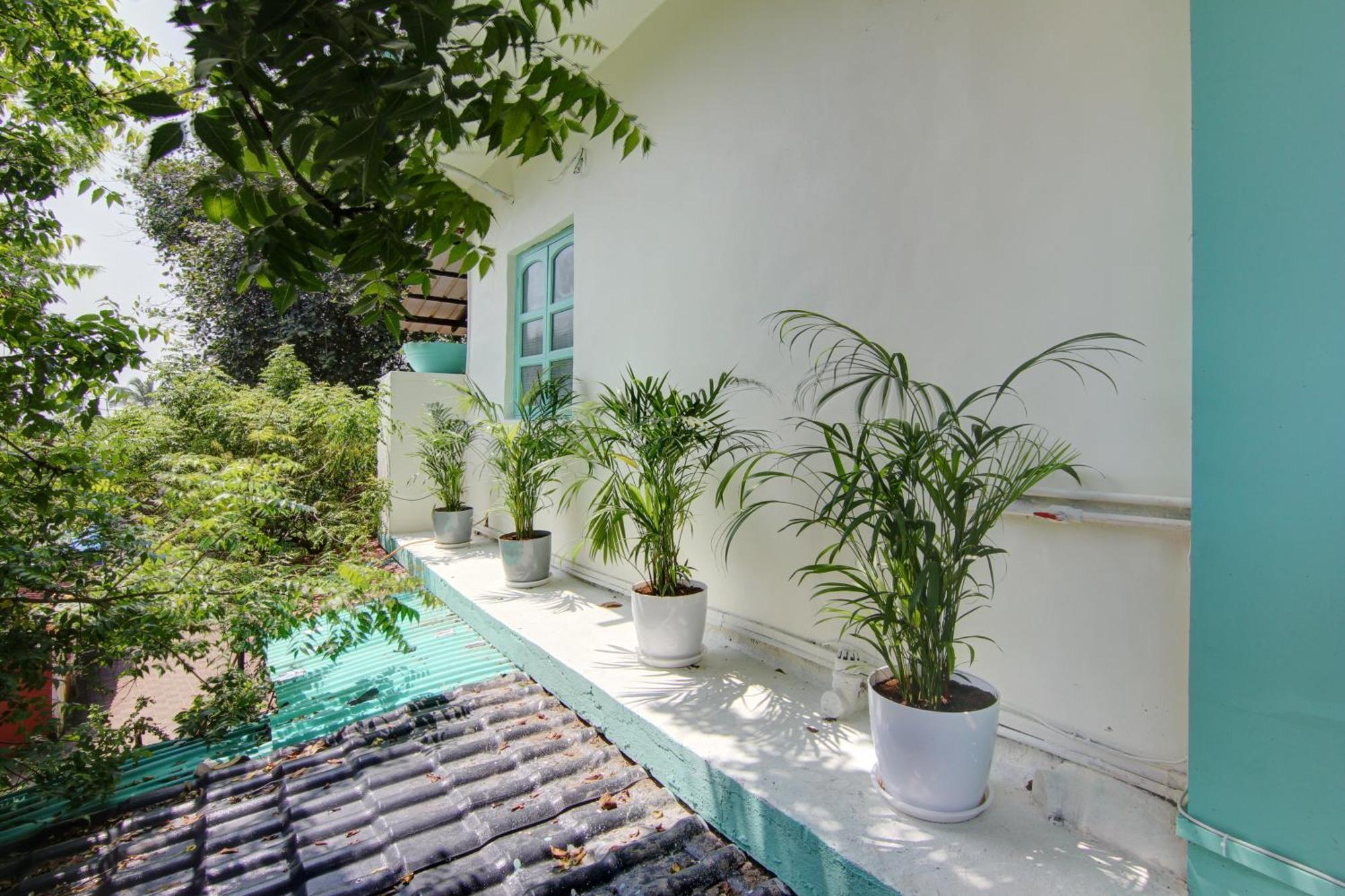 Comfort Holiday Home Baga Dış mekan fotoğraf